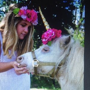 Meet your Posher, Taylor